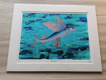 Flying Fish